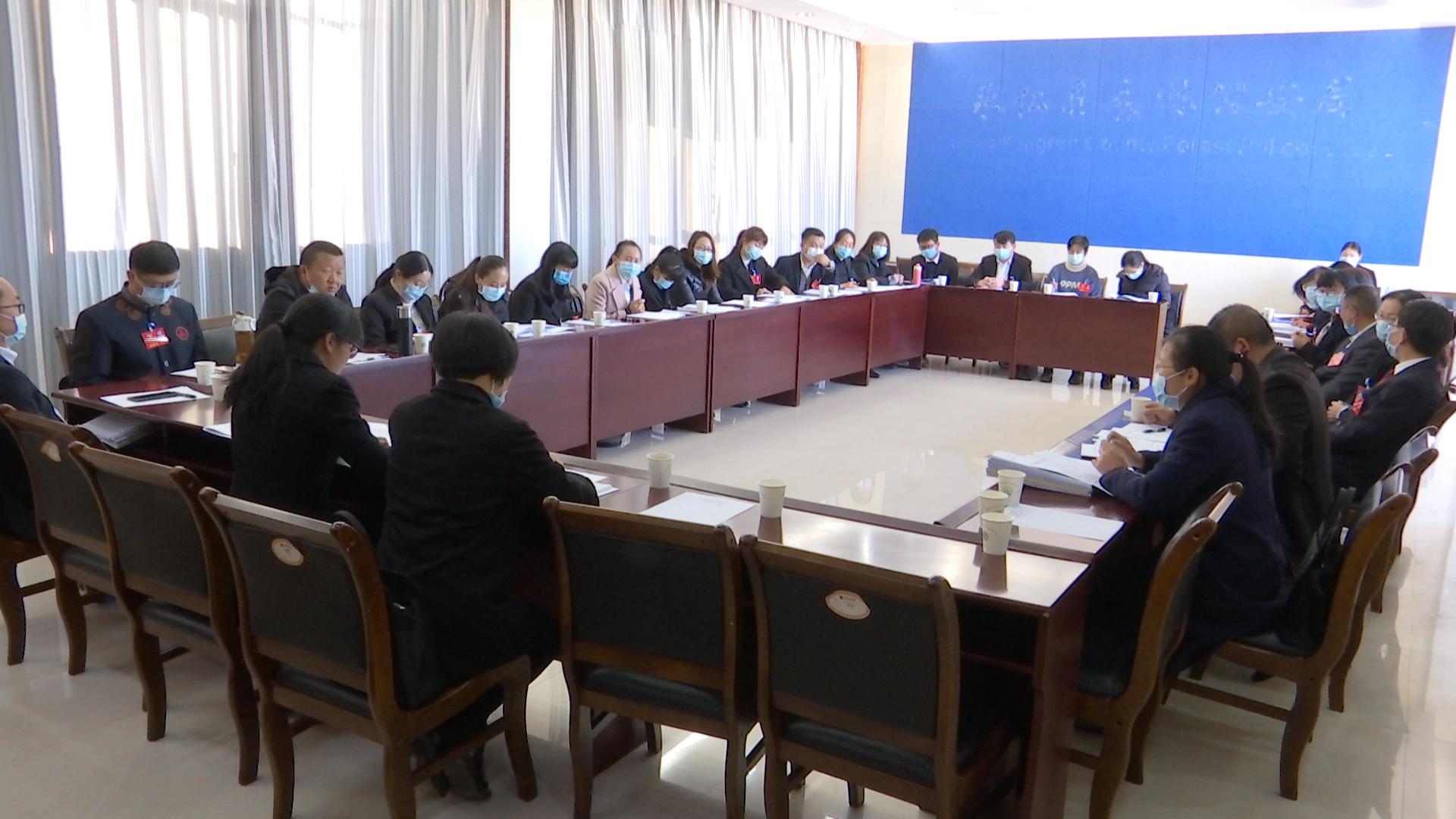 政協(xié)分組討論8.jpg