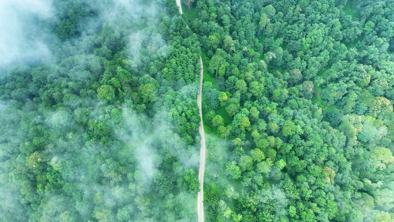 DJI_0452 改.jpg